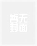 红楼:从小卒到万人之上